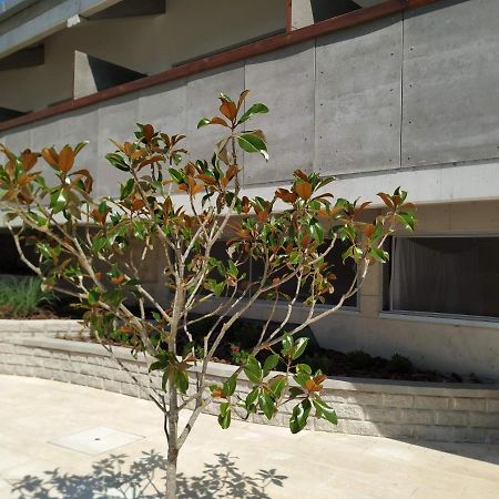 Albergaria Da Tomasia Aldeia do Meco Ngoại thất bức ảnh
